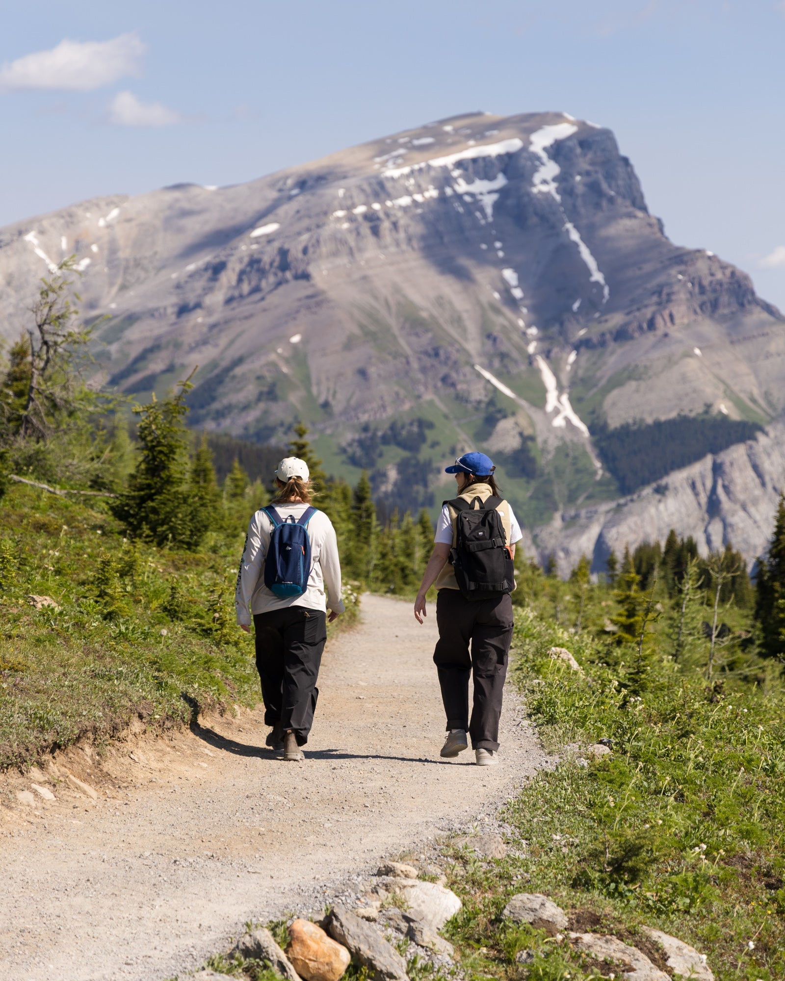 Summer whimsy at Sunshine Meadows