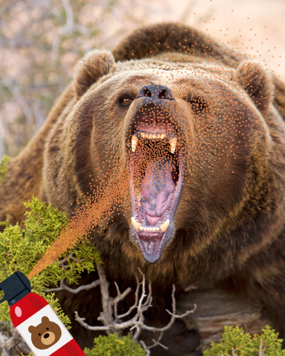 Banff Bear Spray 101