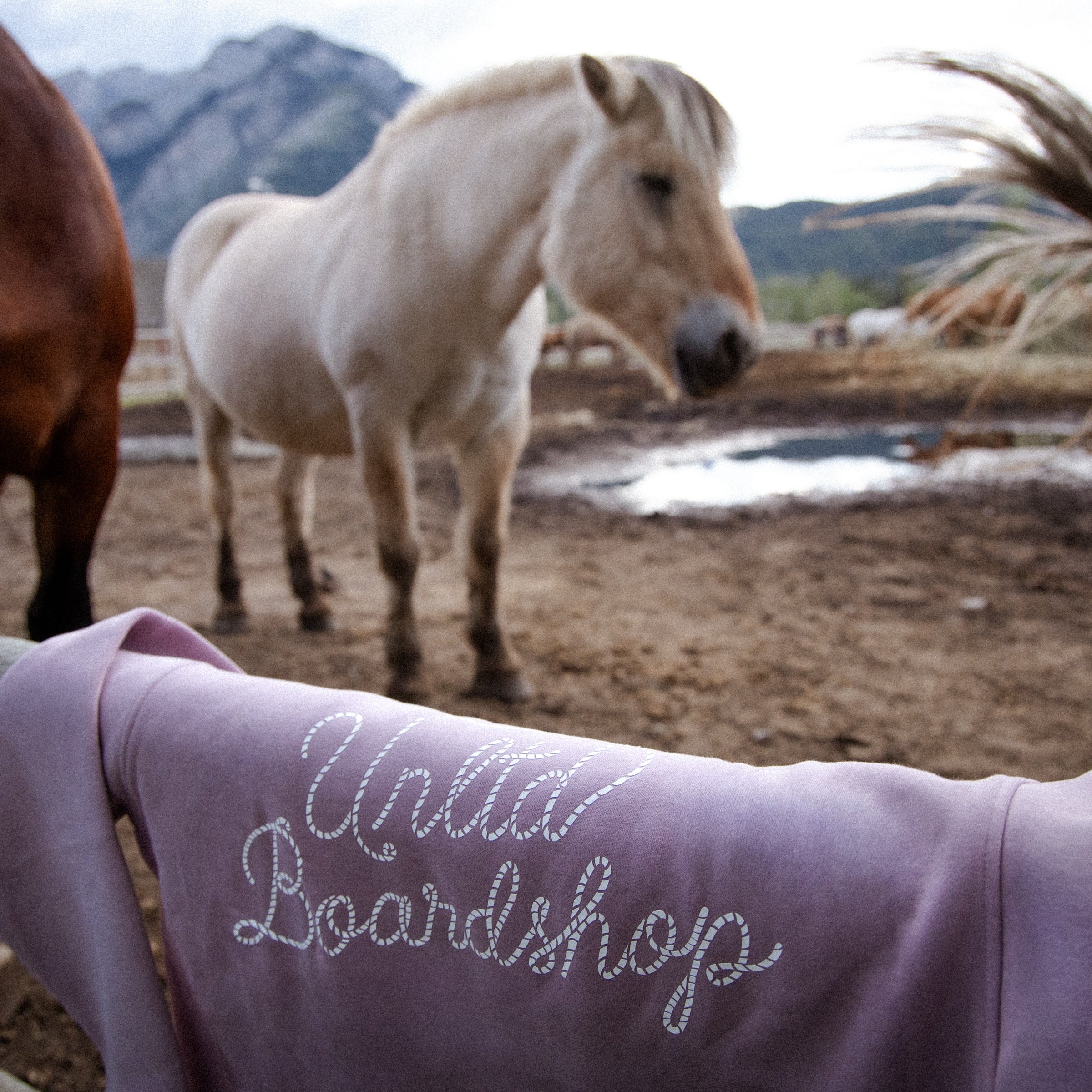 Boot Scootin Hoodie