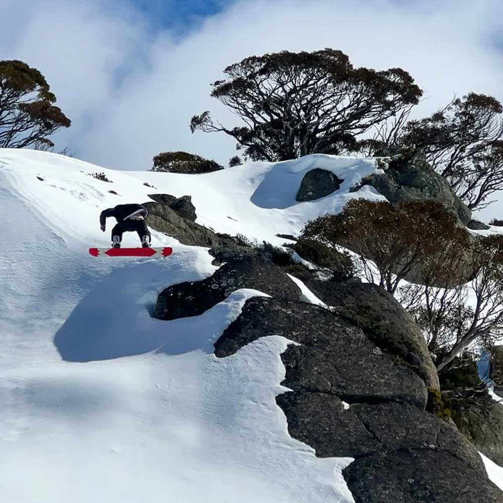 Universal Butter Knife Wax Scraper