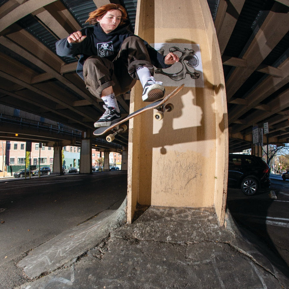 Skate Old Skool 36+ Shoe