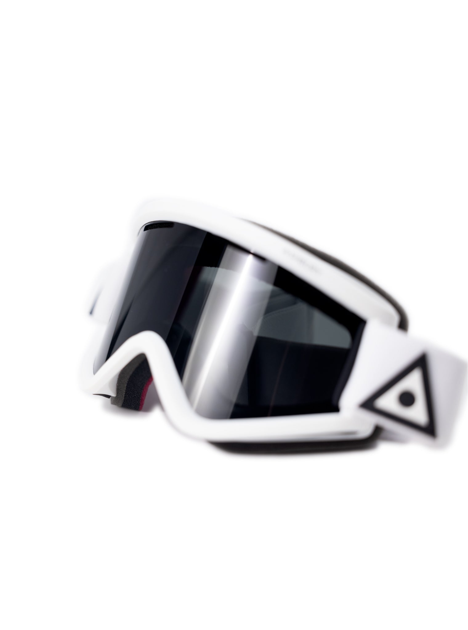 Blackbird Snowboard Goggles