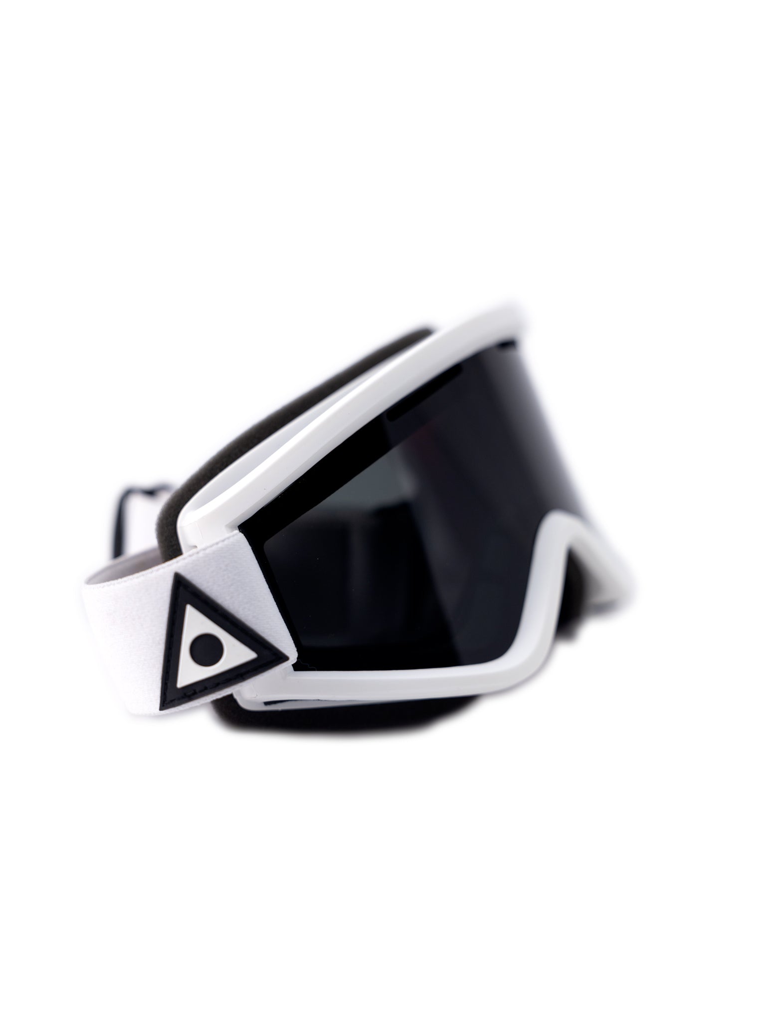 Blackbird Snowboard Goggles