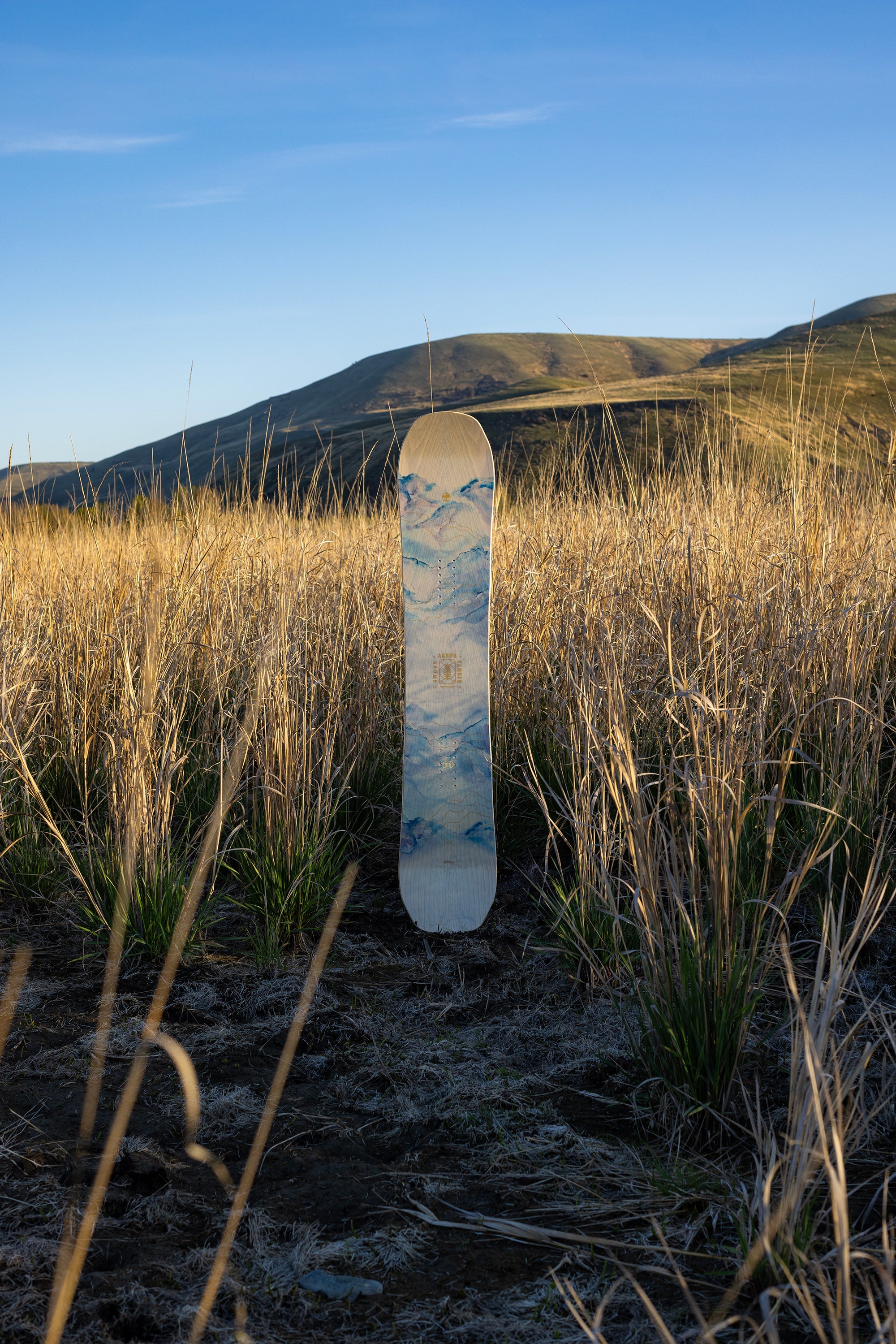 Swoon Camber