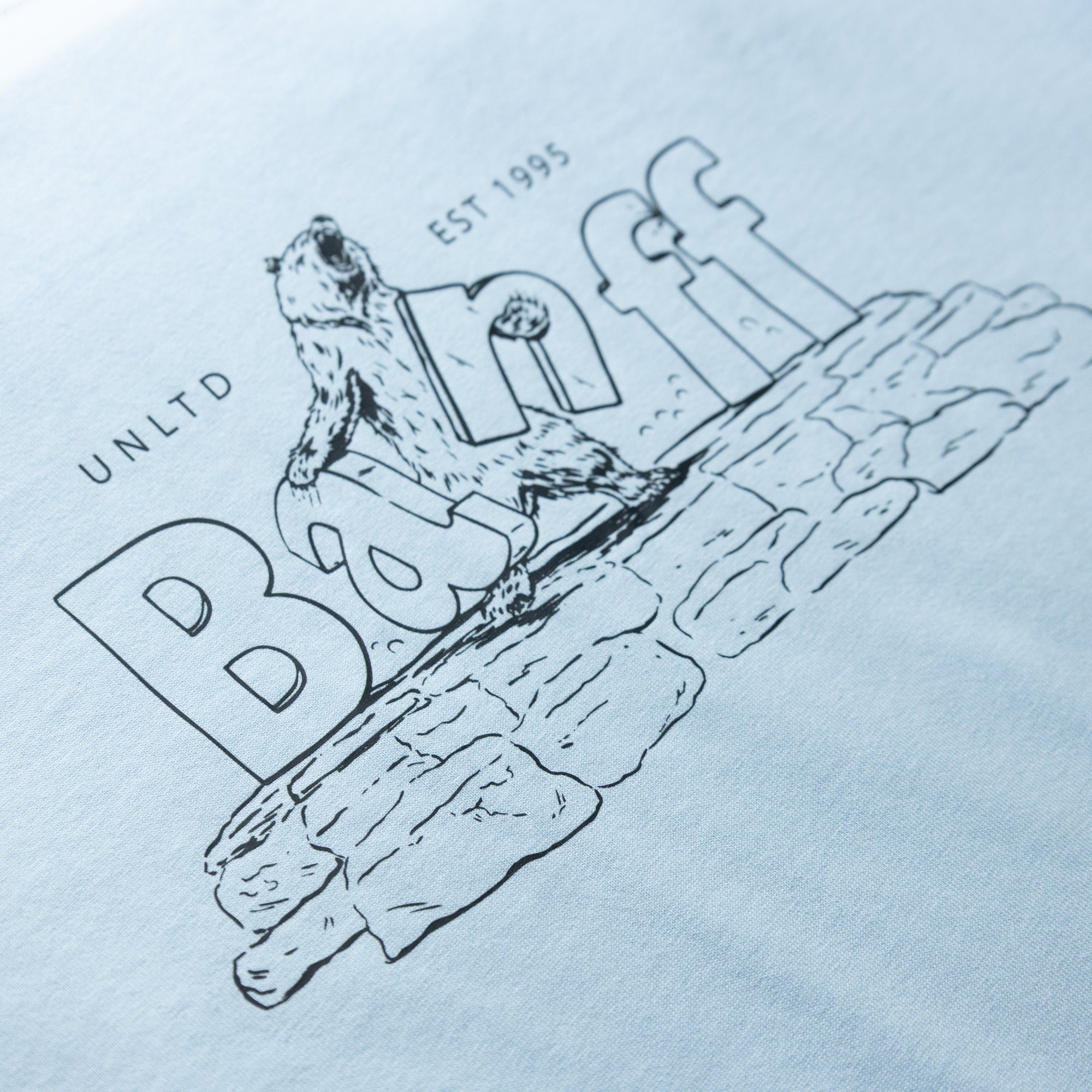 Unltd Bearff T-Shirt - UNLTD Boardshop