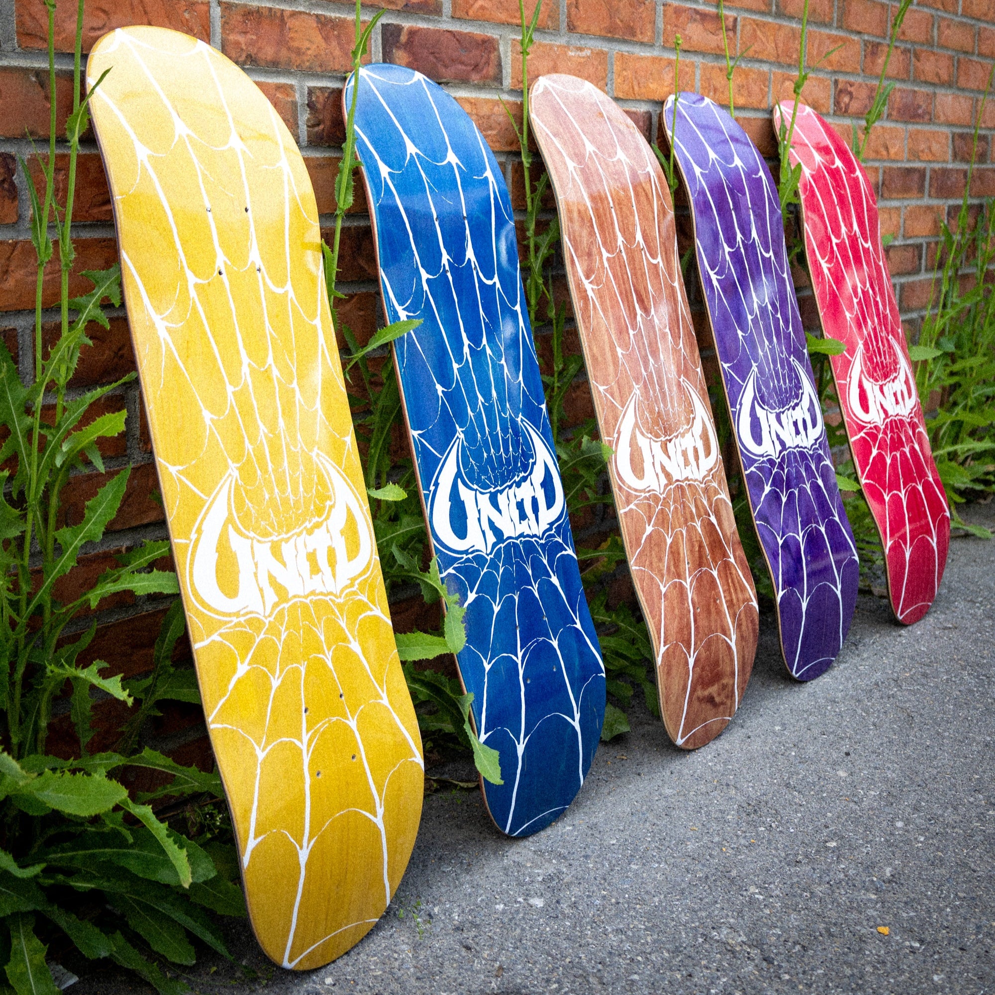 Spood 8.0 Skateboard Deck