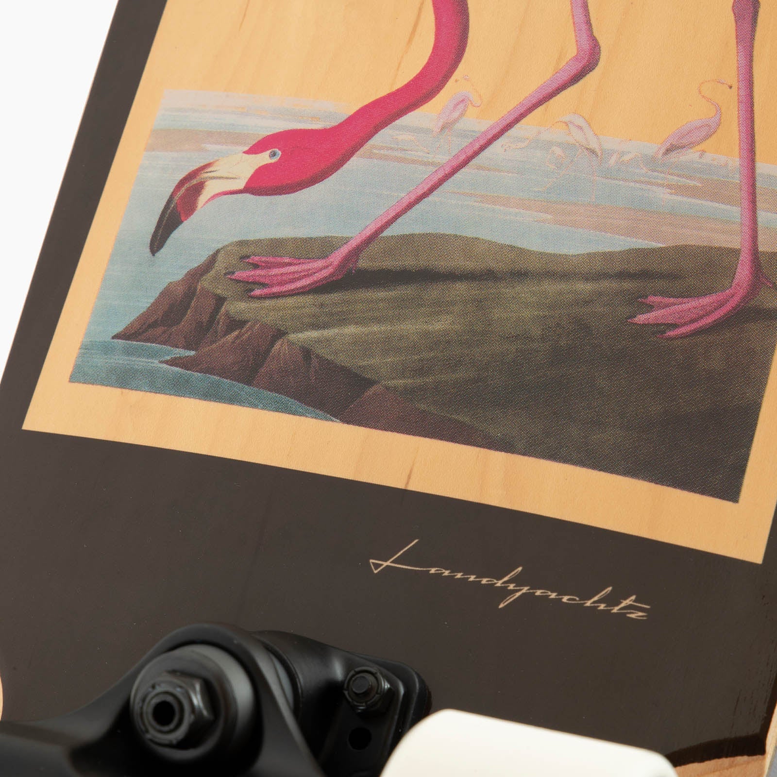 Dinghy Blunt Flamingo