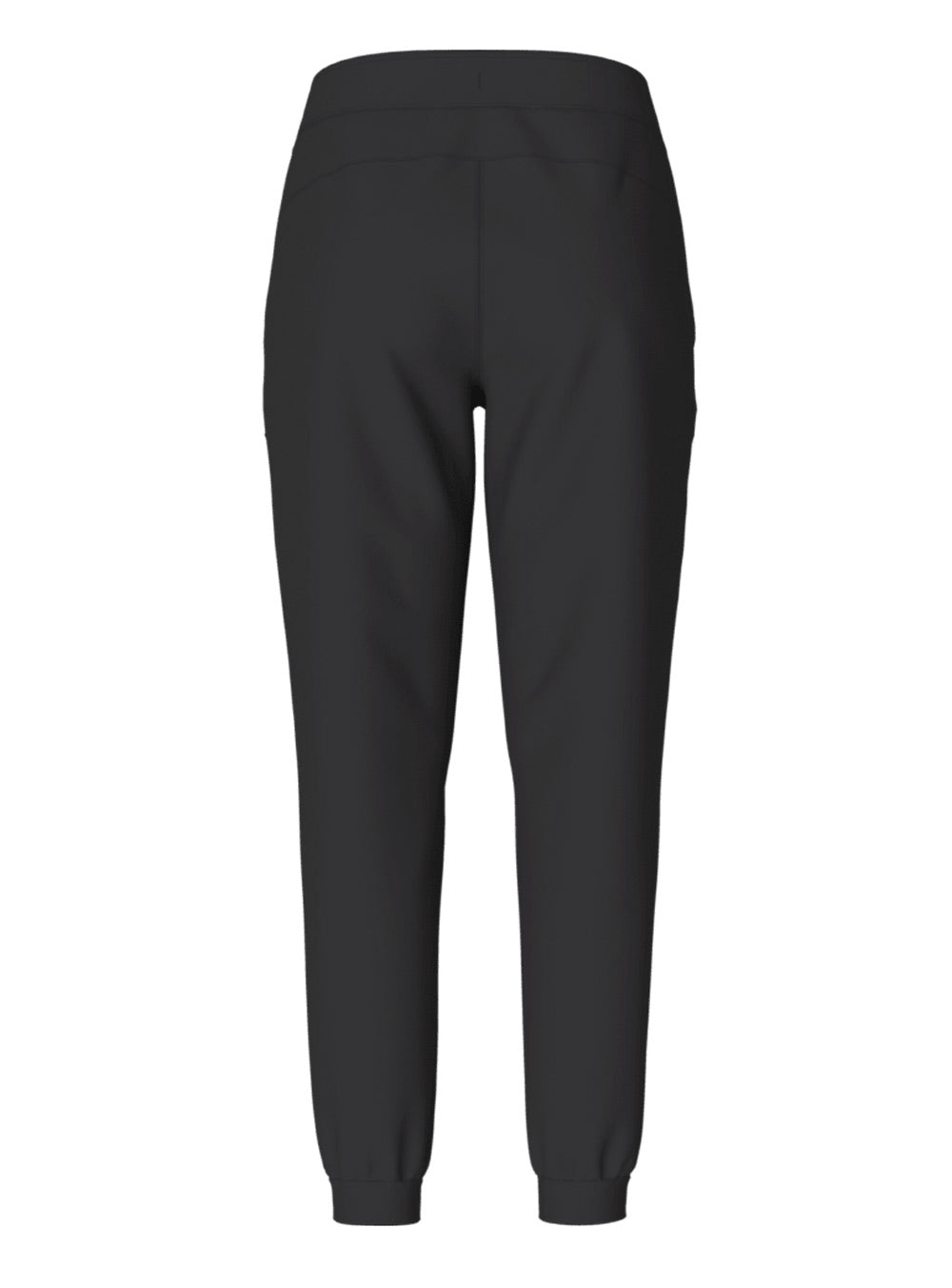 Women's Alpine Polartec 200 Pant